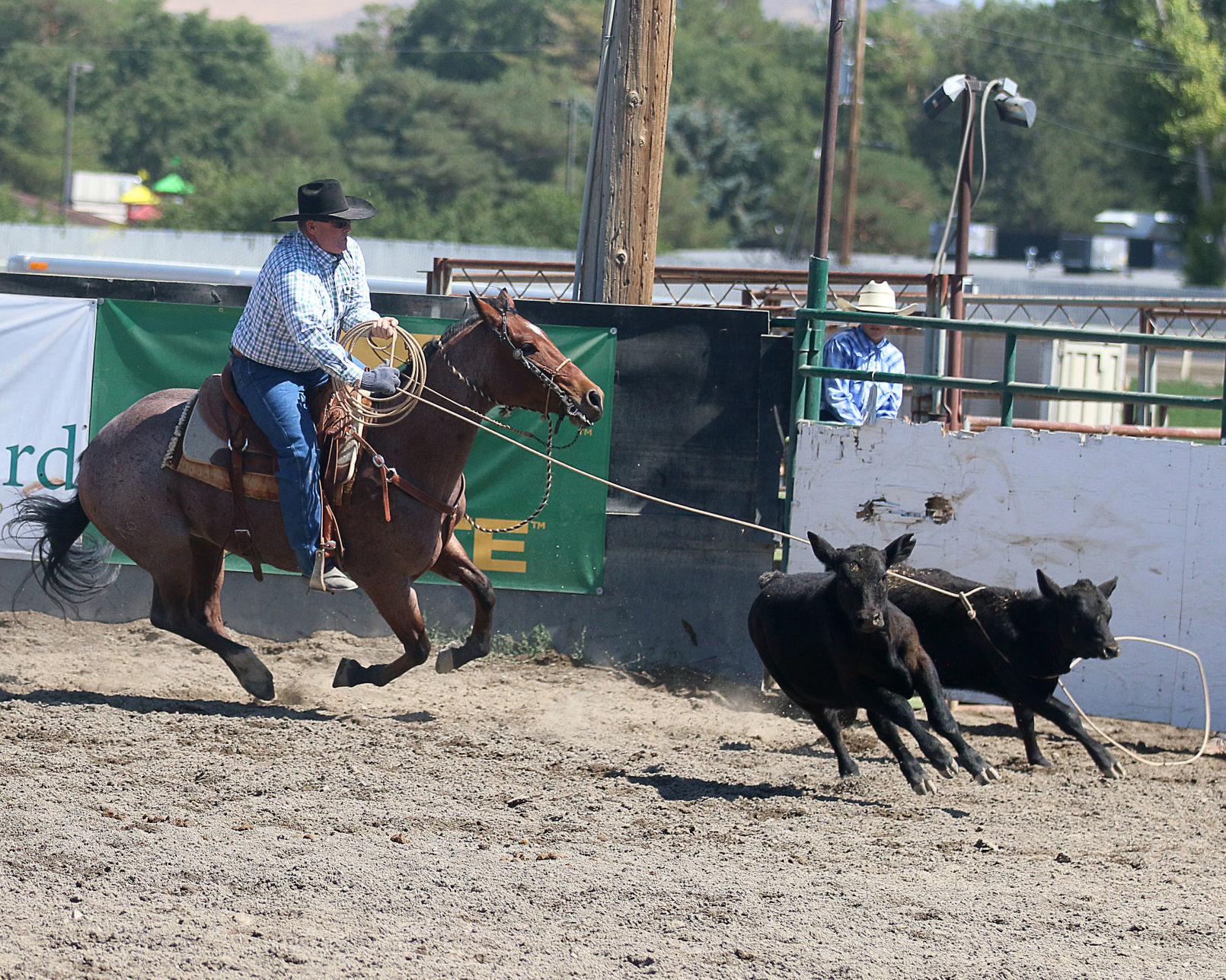 2018 Elko County Fair Open Branding Finals (19).JPG